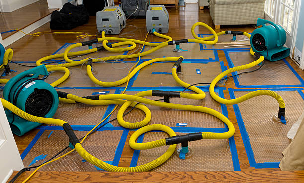 Professional Sewage Cleanup technician working in Lynwood, IL